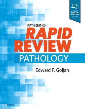 Rapid Review Pathology, 5e** - Image 33
