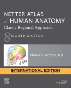 Netter Atlas of Human Anatomy: Classic Regional Approach (IE), 8e** - Image 8