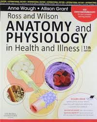 Ross & Wilson Anatomy and Physiology in Health and Illness (IE), 11e** - Image 43
