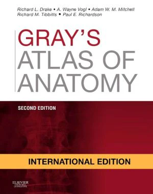 Gray's Atlas of Anatomy (IE), 2e** - Image 67
