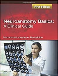 Neuroanatomy Basics: A Clinical Guide - Image 16