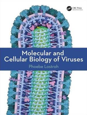 Molecular and Cellular Biology of Viruses - Image 48