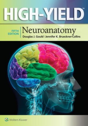 High-Yield(TM) Neuroanatomy, 5e - Image 51