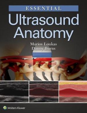 Essential Ultrasound Anatomy** - Image 37