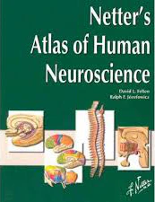 Netter's Atlas of Human Neuroscience (IE)** - Image 5