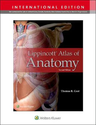 Lippincott Atlas of Anatomy (IE), 2e - Image 44