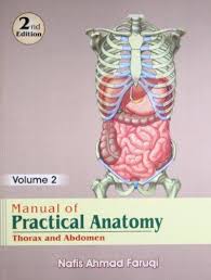 Manual of Practical Anatomy: Thorax & Abdomen, 2e Vol. 2 - Image 5